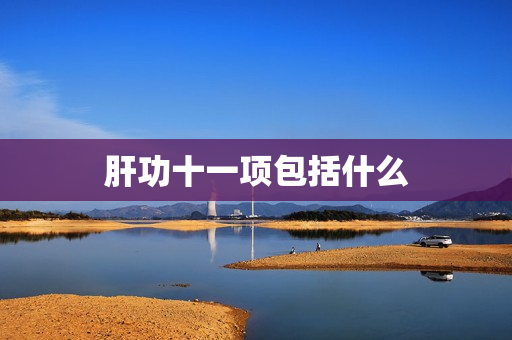 肝功十一项包括什么