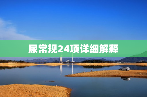 尿常规24项详细解释