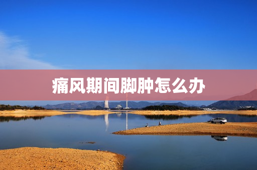 痛风期间脚肿怎么办