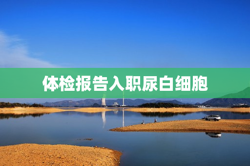 体检报告入职尿白细胞