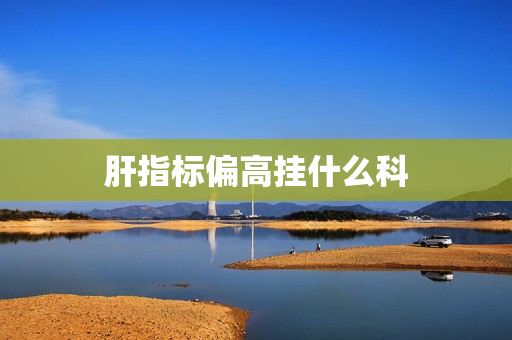 肝指标偏高挂什么科