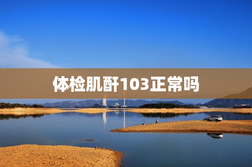 体检肌酐103正常吗