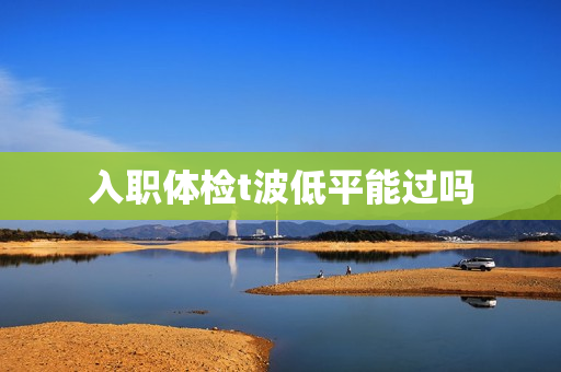 入职体检t波低平能过吗