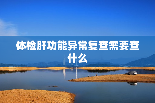体检肝功能异常复查需要查什么