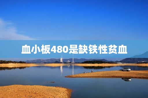 血小板480是缺铁性贫血