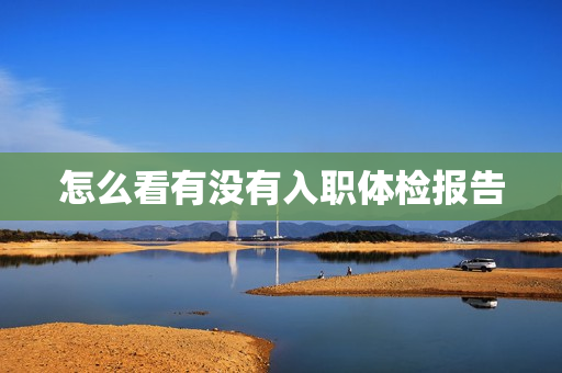 怎么看有没有入职体检报告