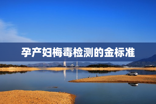 孕产妇梅毒检测的金标准