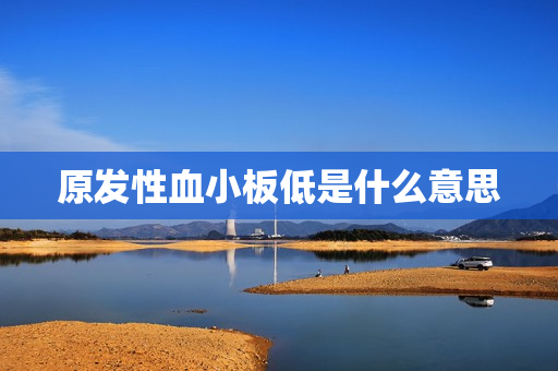 原发性血小板低是什么意思