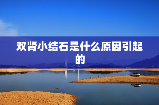 双肾小结石是什么原因引起的