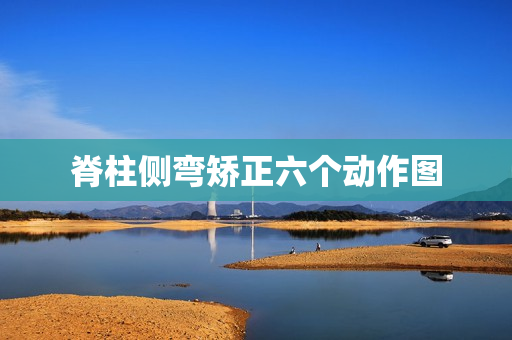 脊柱侧弯矫正六个动作图