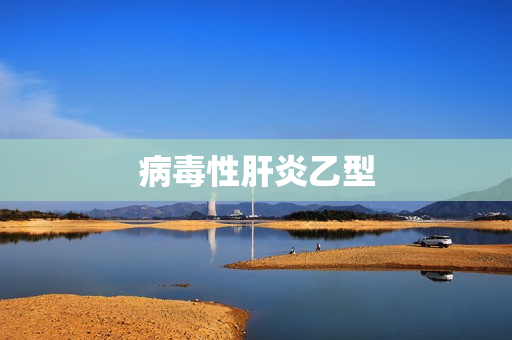 病毒性肝炎乙型