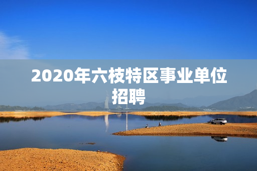 2020年六枝特区事业单位招聘