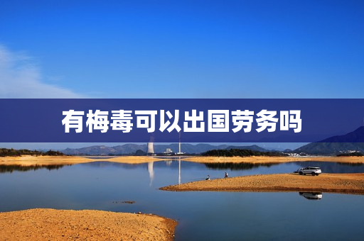 有梅毒可以出国劳务吗