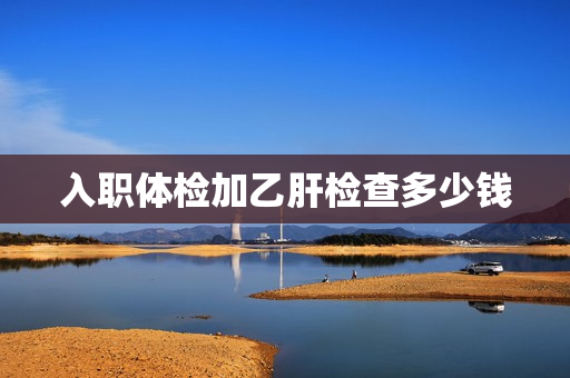 入职体检加乙肝检查多少钱