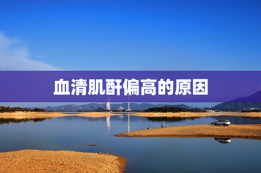 血清肌酐偏高的原因