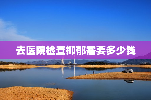 去医院检查抑郁需要多少钱