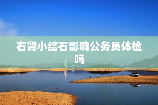 右肾小结石影响公务员体检吗
