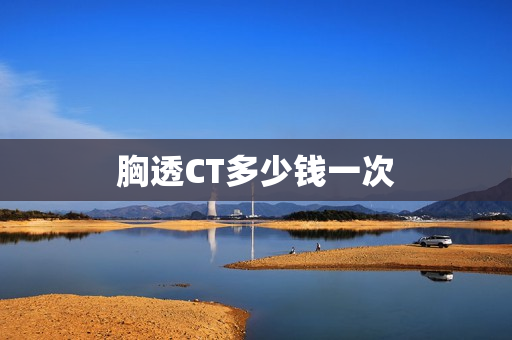 胸透CT多少钱一次