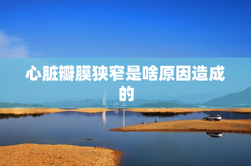 心脏瓣膜狭窄是啥原因造成的