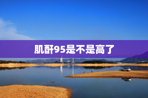 肌酐95是不是高了