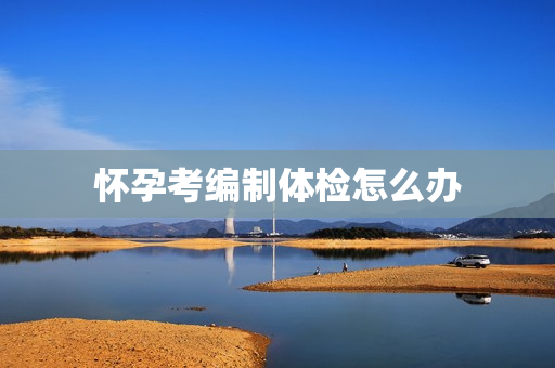 怀孕考编制体检怎么办